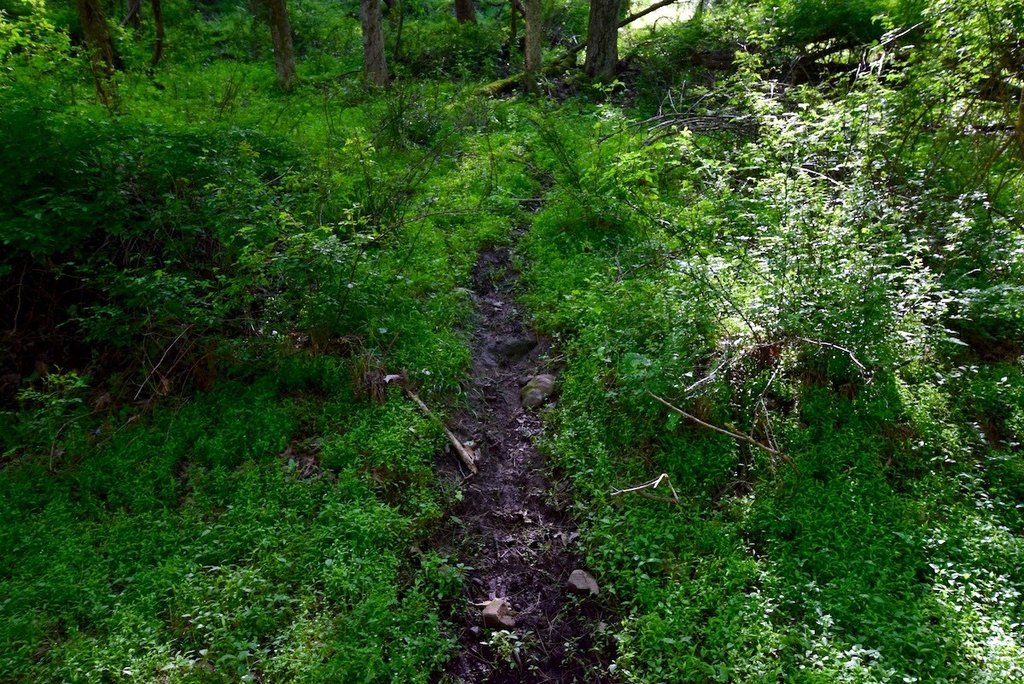 Picture 7