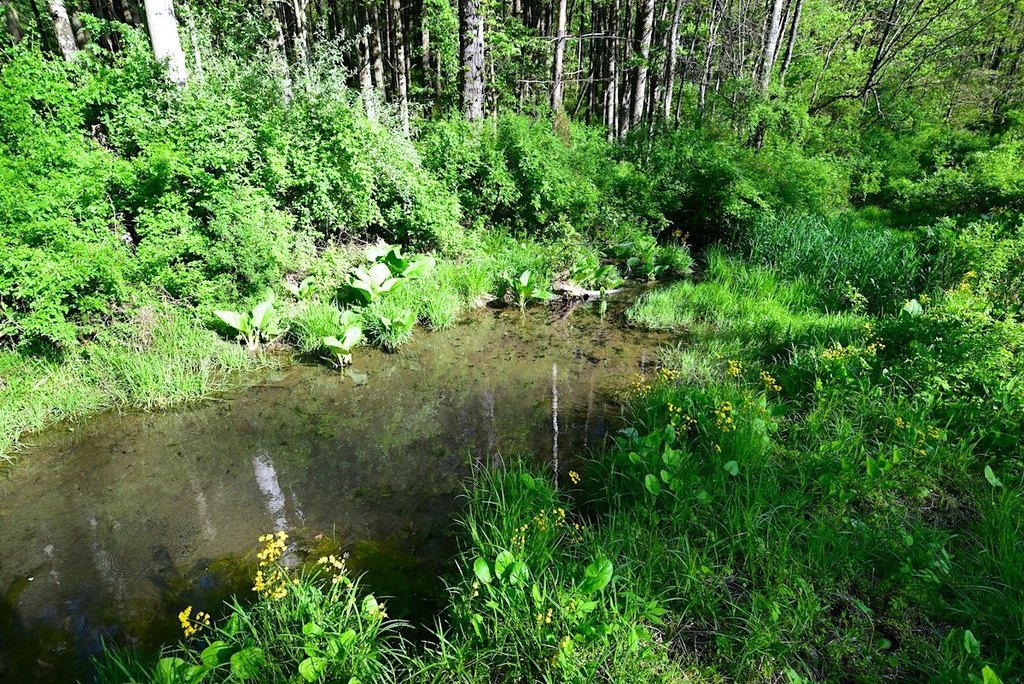 Picture 28