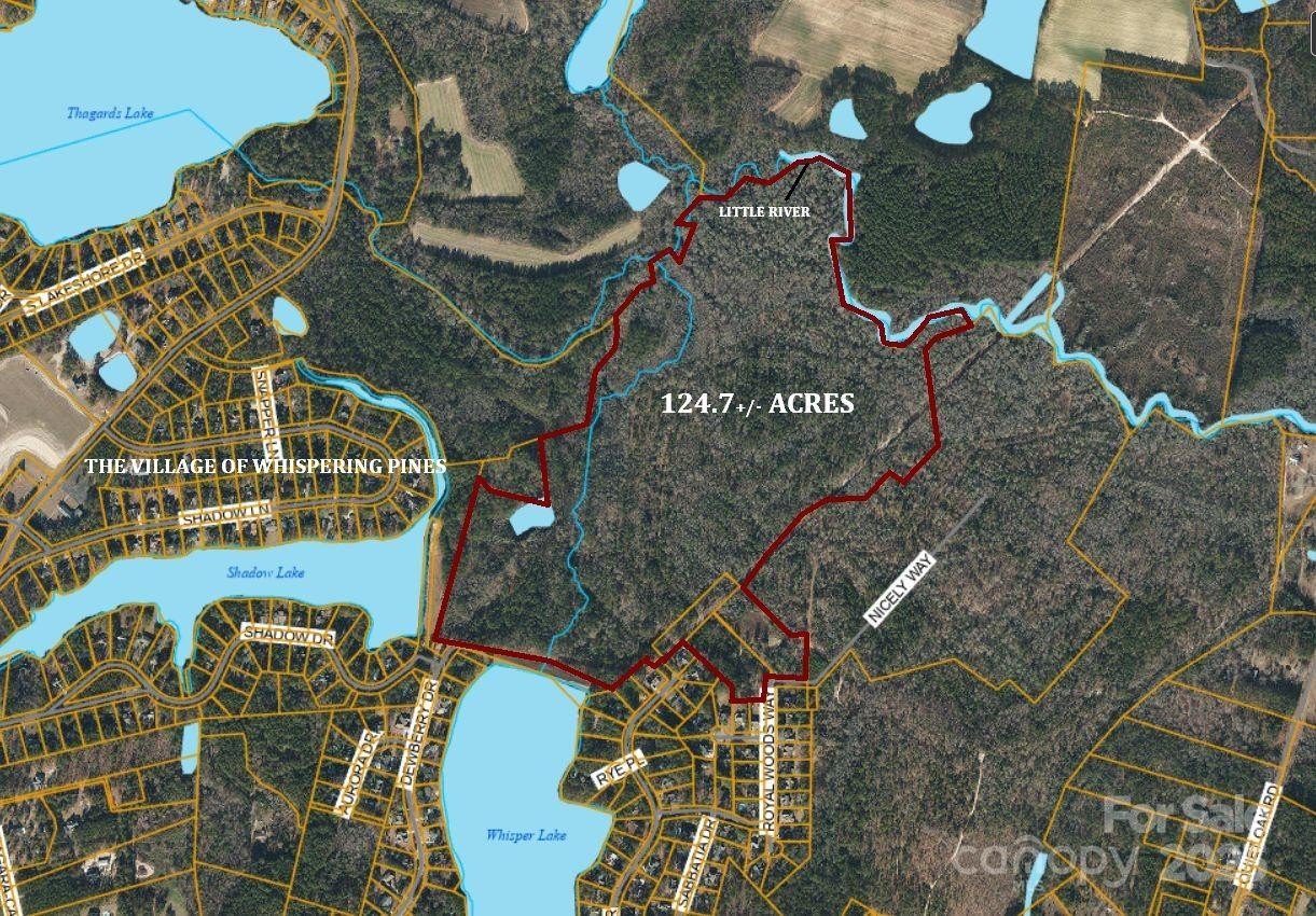 Large Acreage Investment Opportunity
