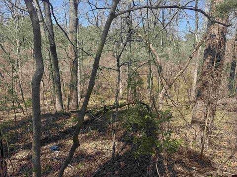 Land Near White River Access