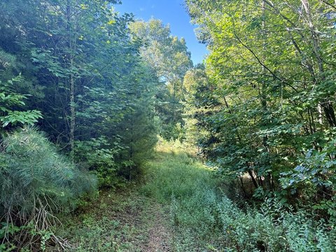 Topton, NC Land For Sale