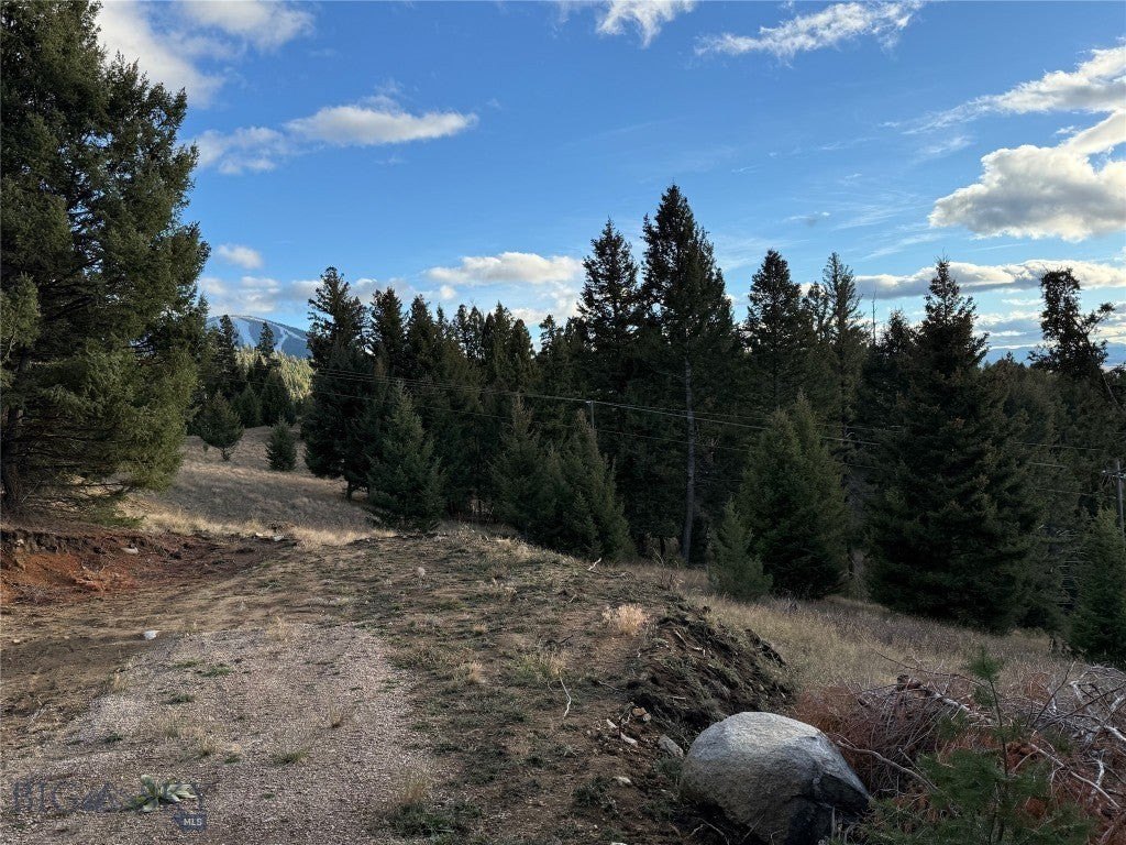 Picture 19