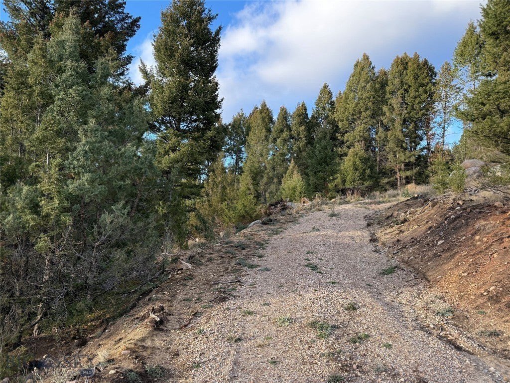 Picture 20
