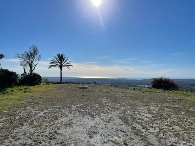 Picture 19