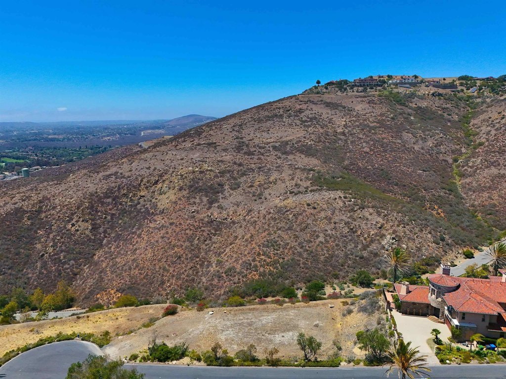 Picture 23