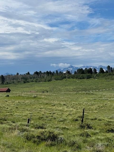Picture 8