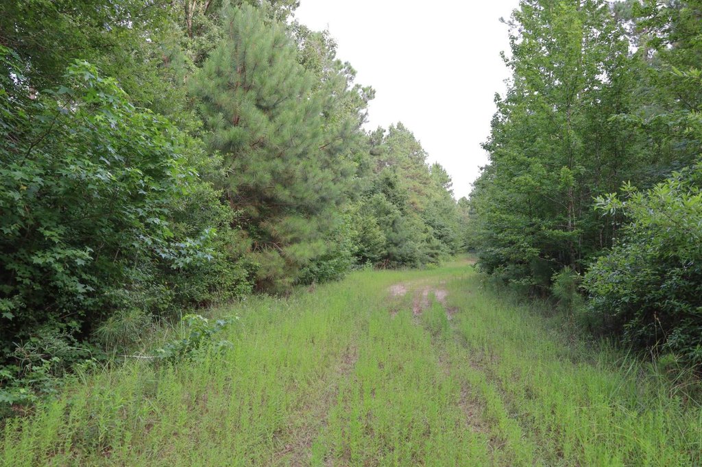 Picture 14