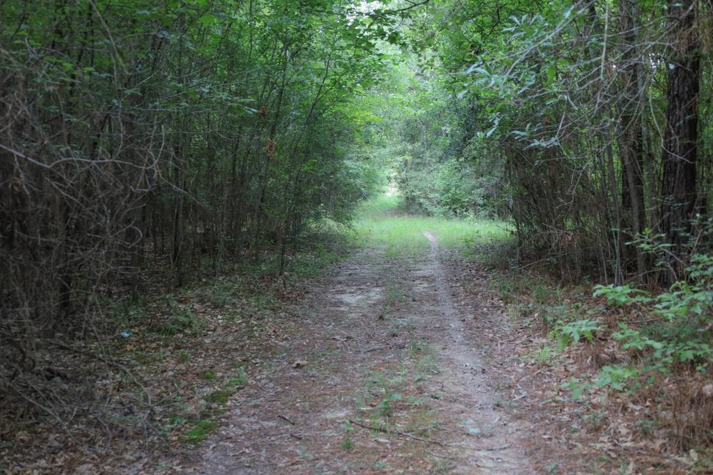 Picture 11
