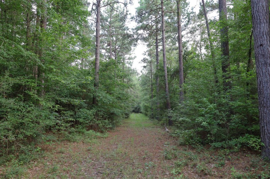 Picture 23
