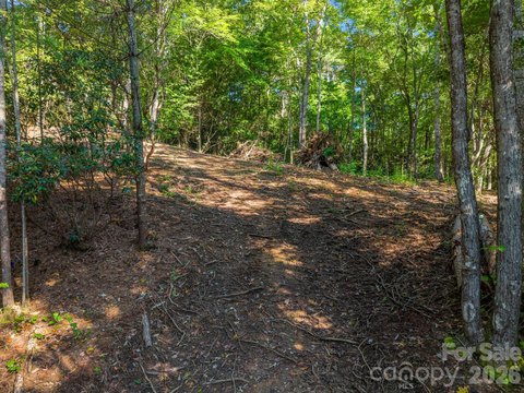 Land, Pisgah Forest, NC