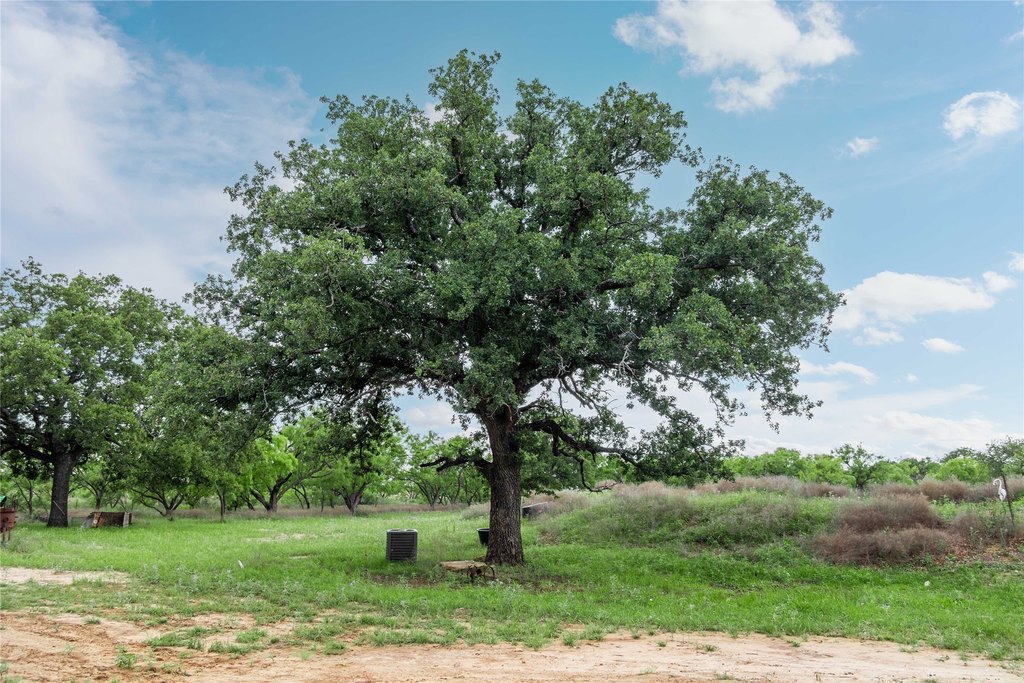 Picture 27