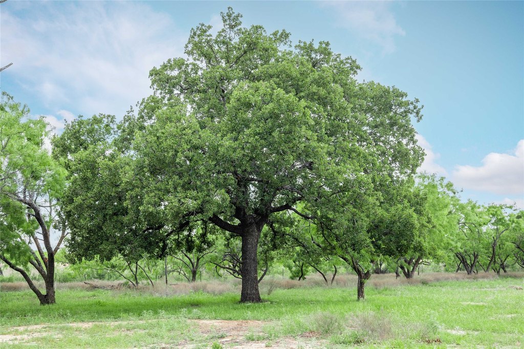 Picture 36