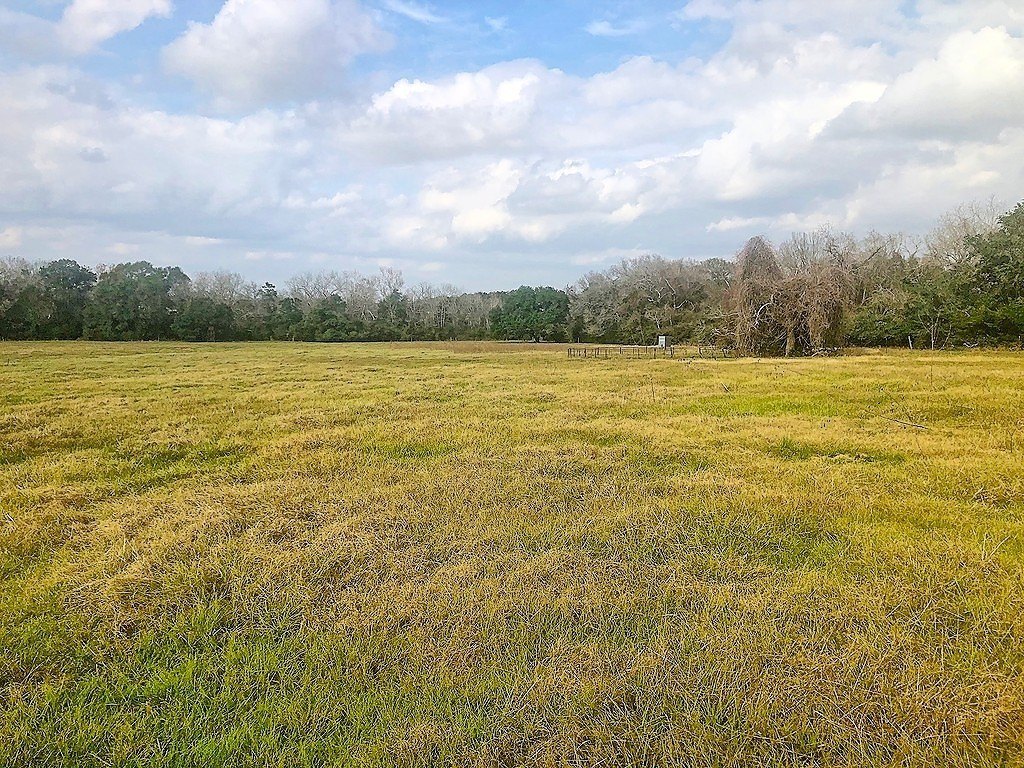 38 Acres of Recreational Land