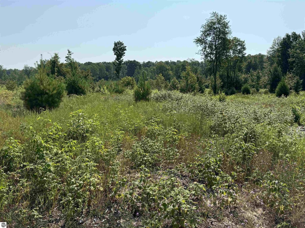 Picture 8