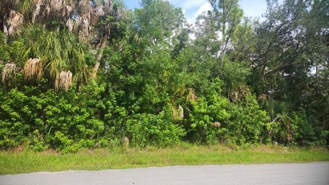 PORT CHARLOTTE, FL