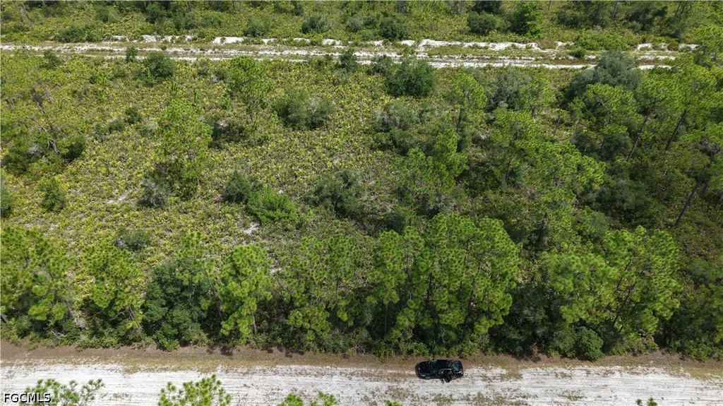 Picture 7