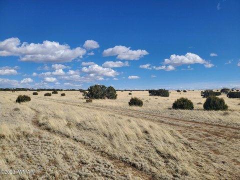 Land in Concho, Arizona