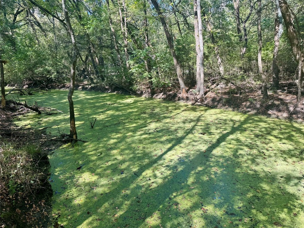 Picture 21