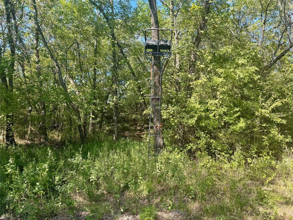 Picture 31