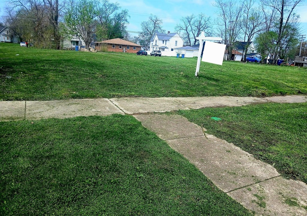 Picture 4