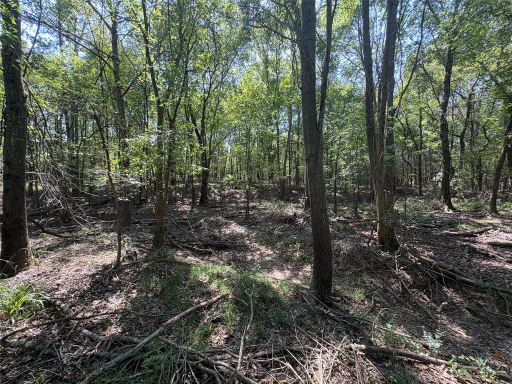 Picture 21
