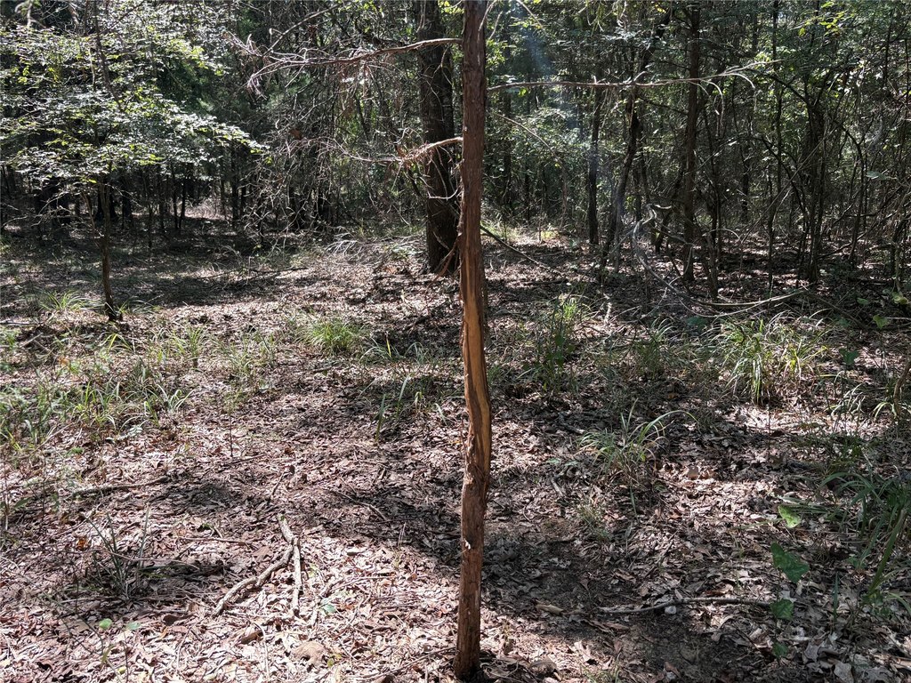 Picture 18