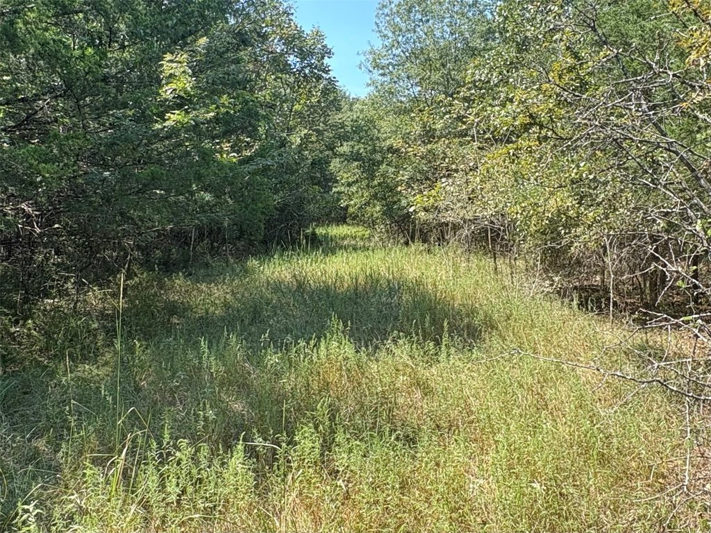 Picture 6
