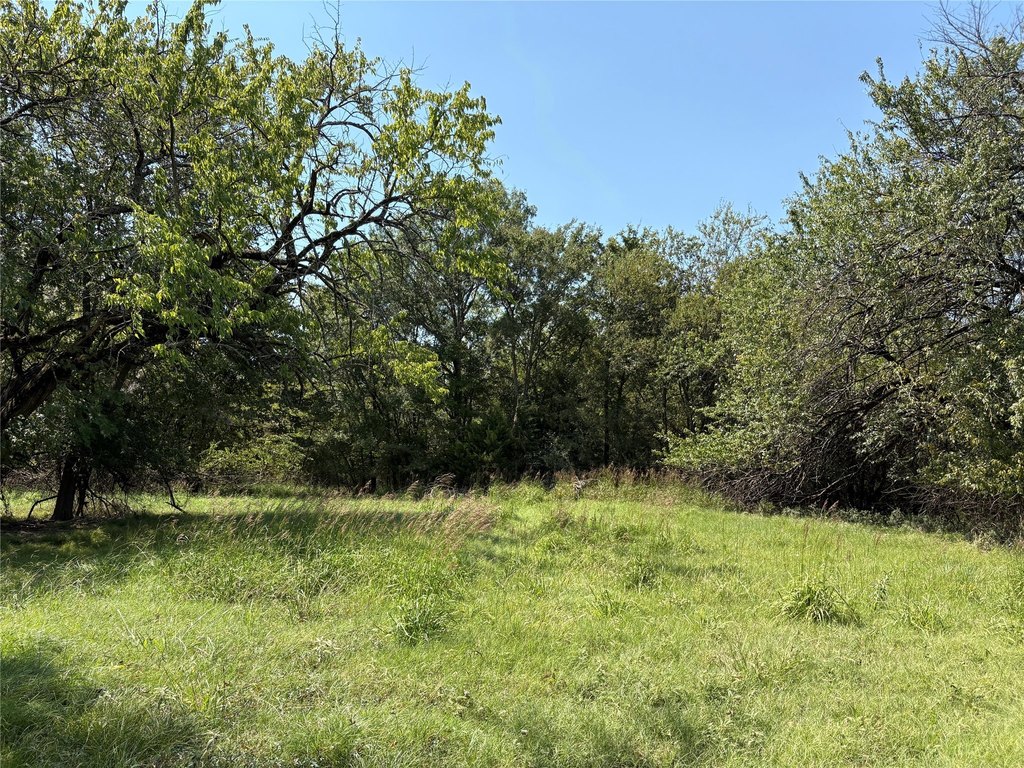 Picture 16