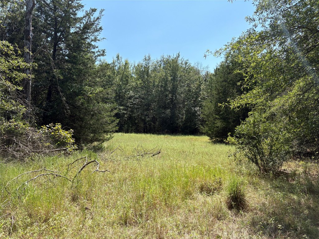 Picture 11