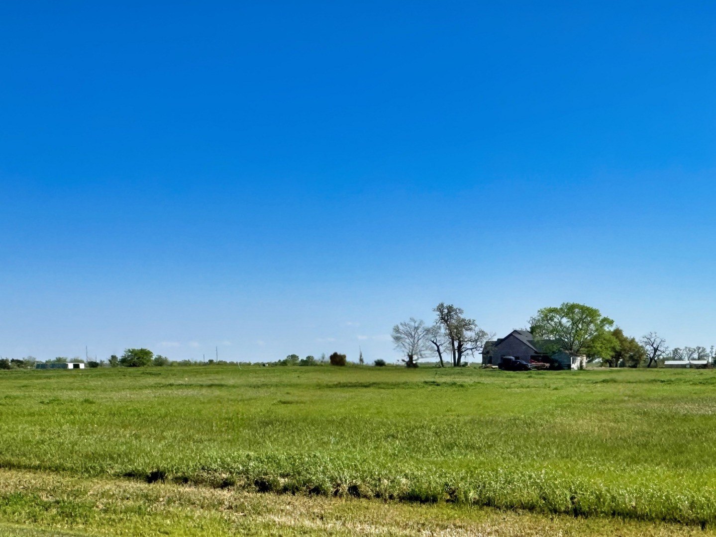 Land in Iola, Texas