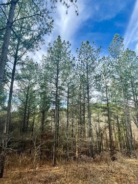 LAND - Broken Bow, OK