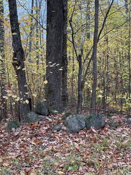 4-Acre Lot in Industry, Maine