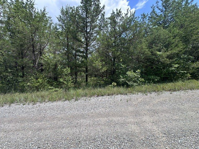 Picture 9