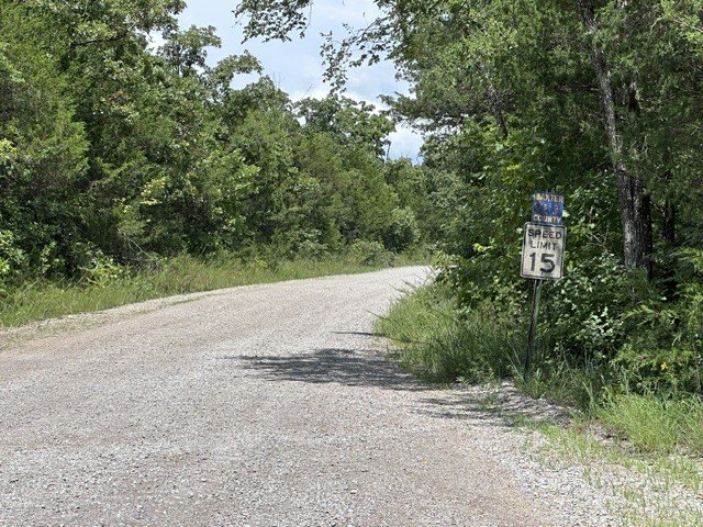 Picture 6