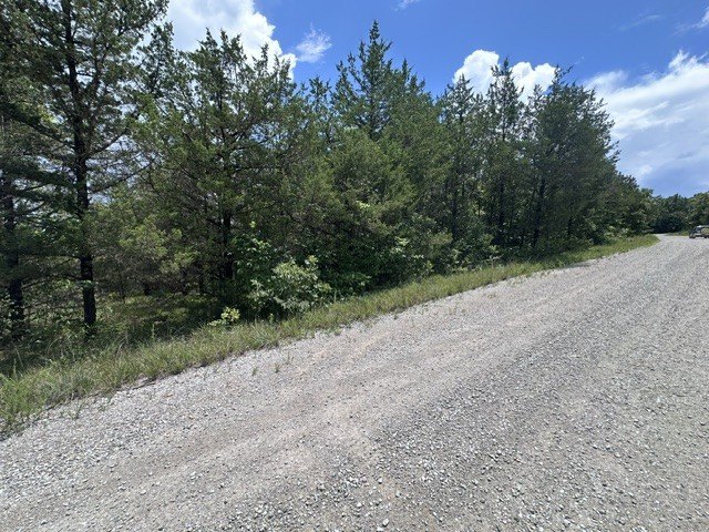 Picture 8