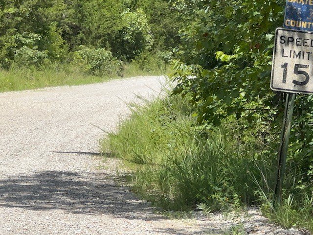 Picture 5