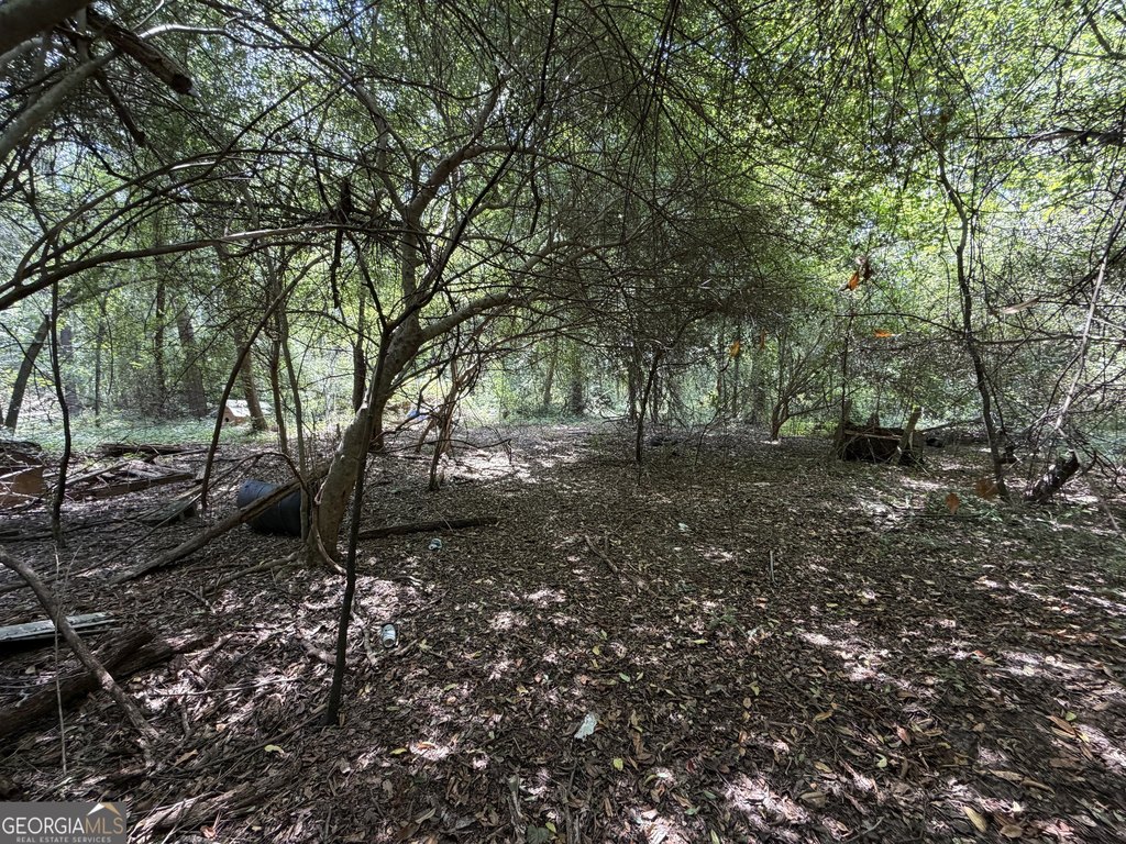 Picture 5