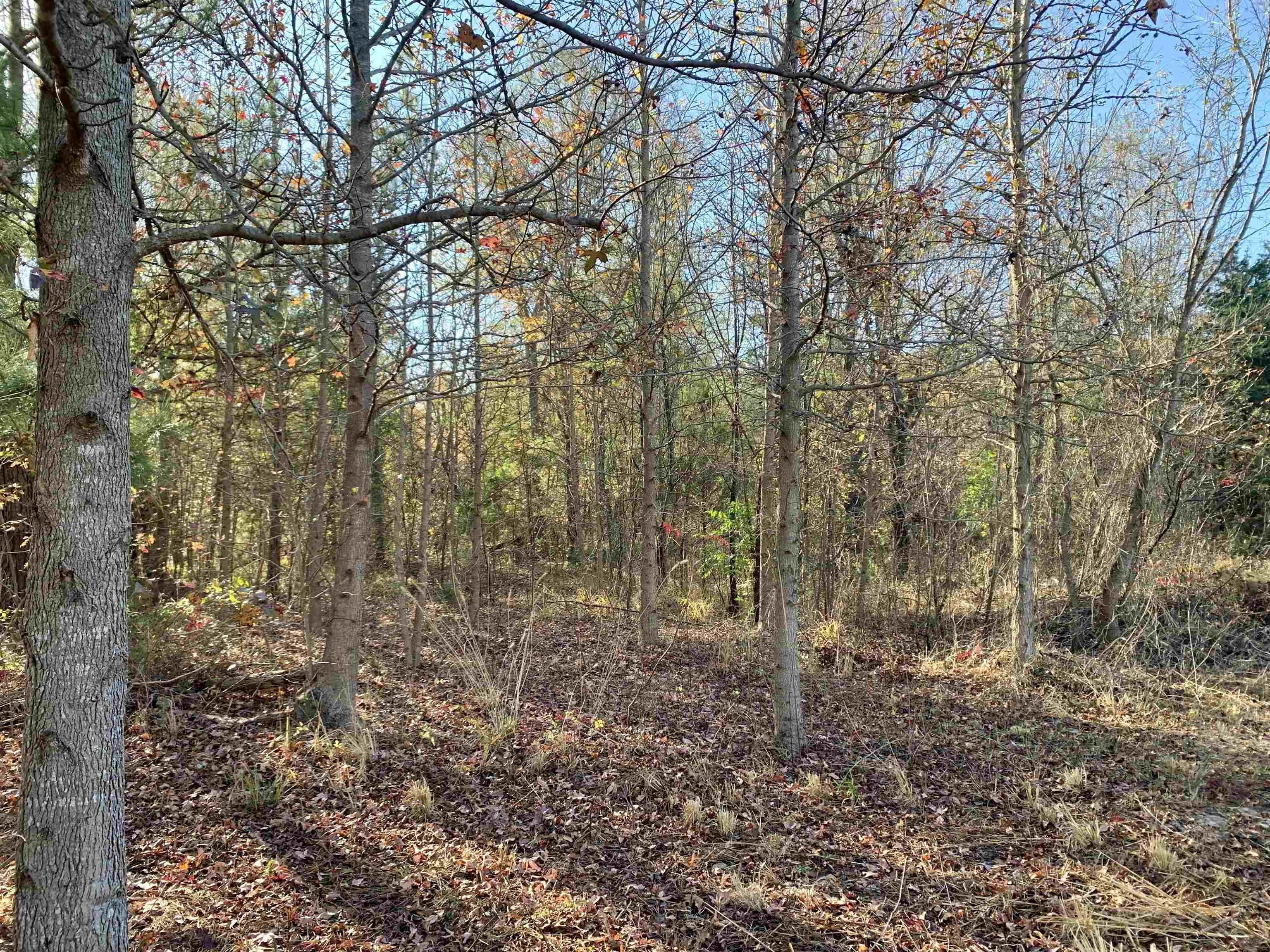 Land Near Lake O' Pines