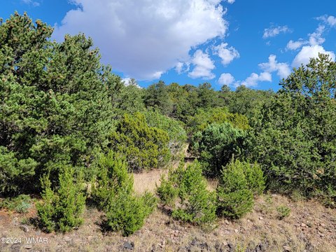 Eagar, AZ Hillside Lot
