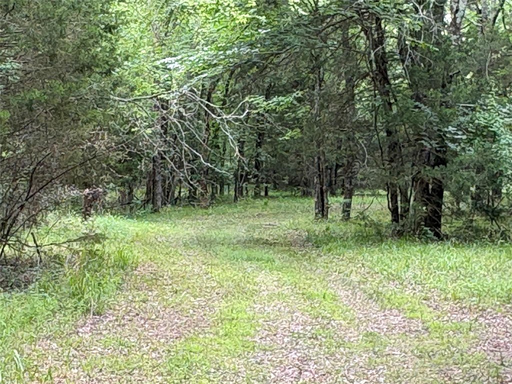 Picture 8