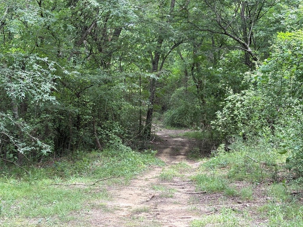 Picture 3