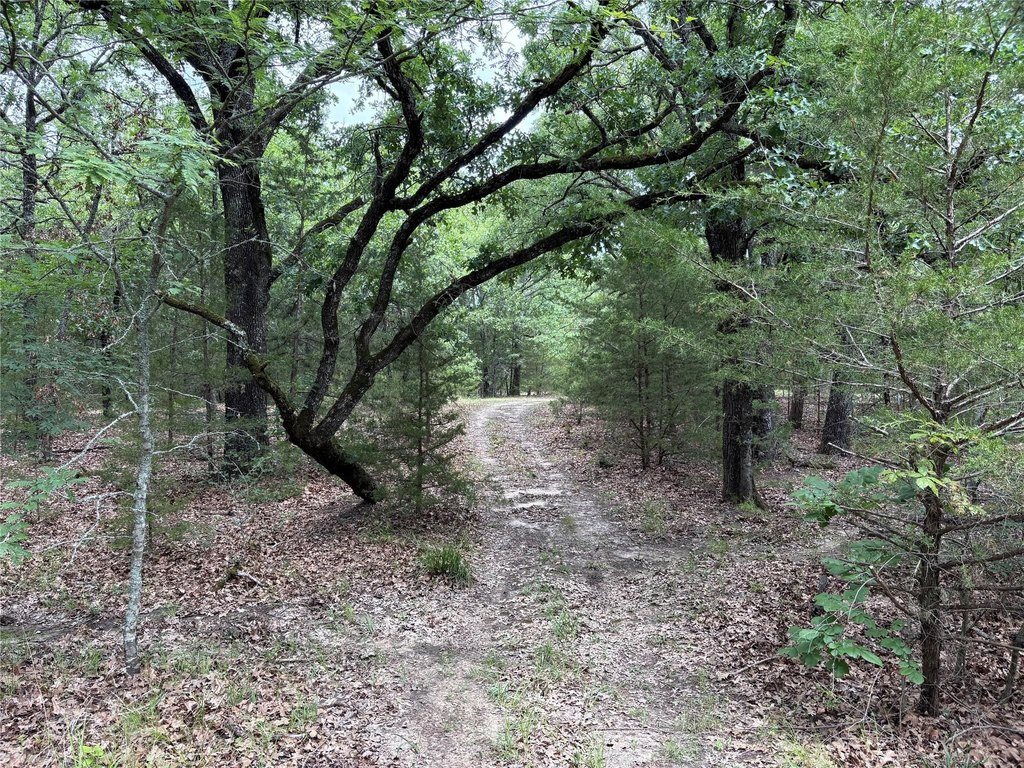 Picture 23
