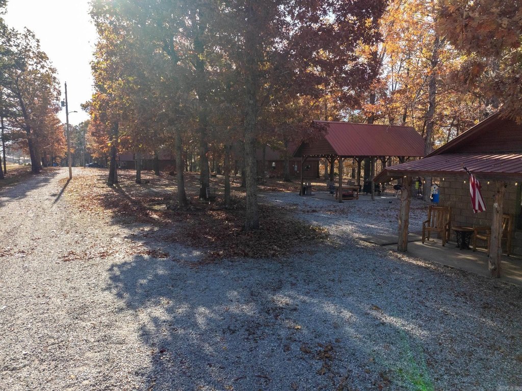 Picture 19
