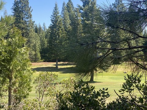 Golf Course Lot in Almanor