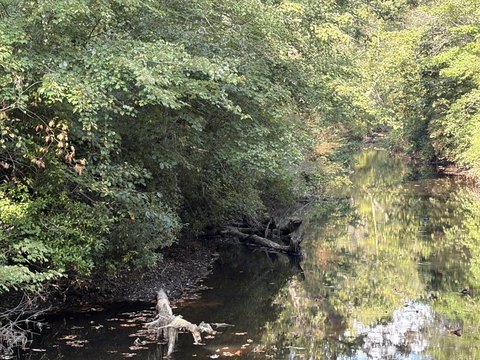 Land, Mentone, AL