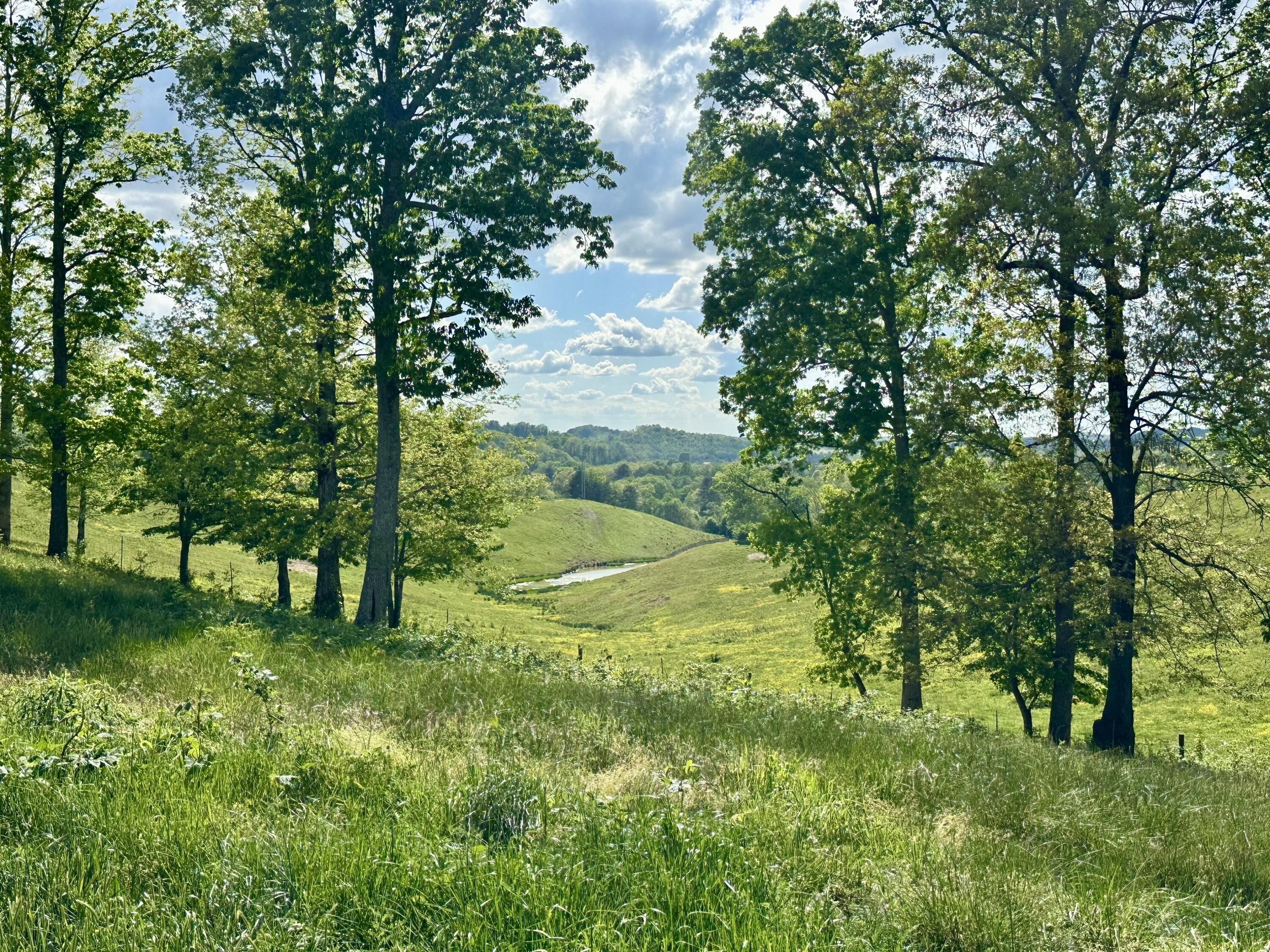 Scenic Land Tract For Sale