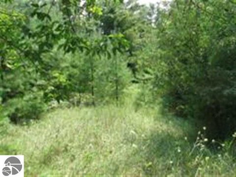 Developable Wooded Land Parcel