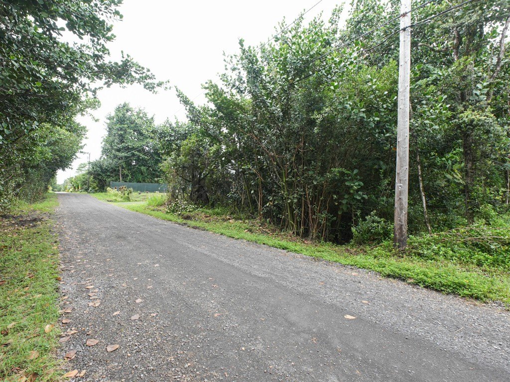 Picture 4