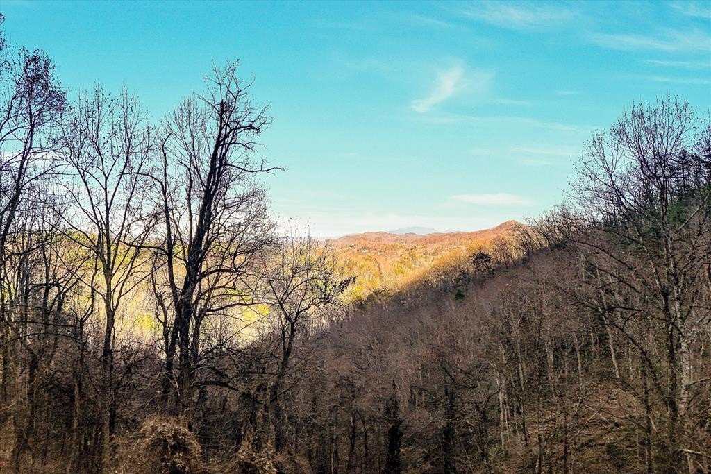 Sevierville Land in Shagbark Resort
