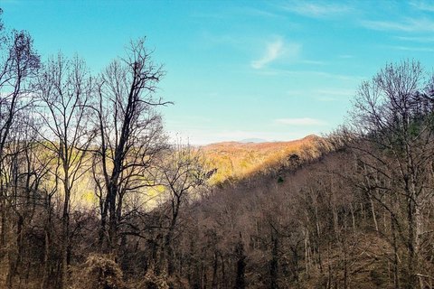 Sevierville Land in Shagbark Resort